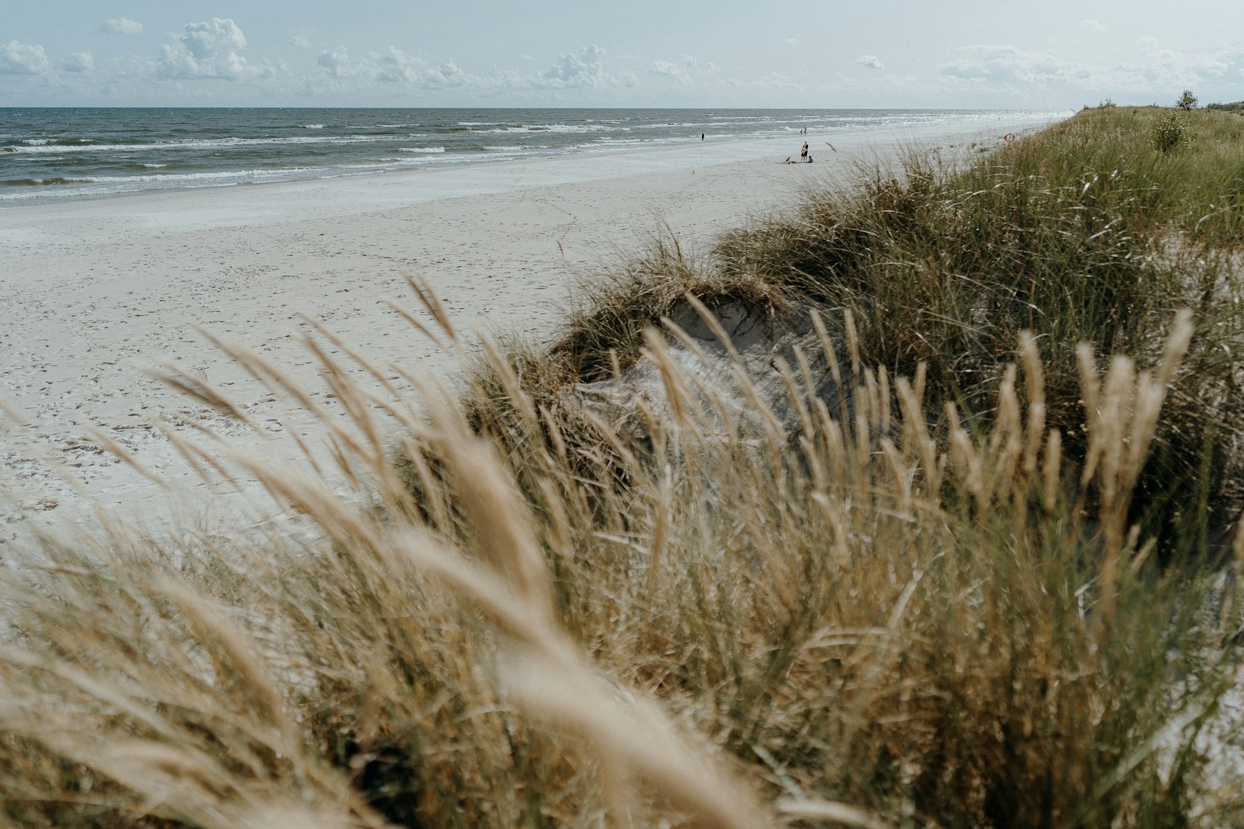 Sandy beach at Sandhammaren on the Österlen coast, Skåne